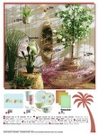 Plantes Plantes
