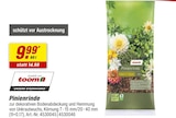toom Baumarkt Metzingen - Pinienrinde Angebot im Prospekt Pinienrinde bei toom Baumarkt im Metzingen Prospekt für 9,99 €