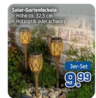 Solar-Gartenfackeln im aktuellen Rossmann Prospekt für 9,99 €