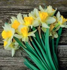 Bouquet 20 Jonquilles en promo chez Intermarché Antony à 4,99 €