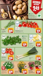 REWE Tomaten im Prospekt 