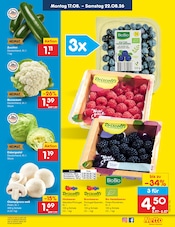 Salat im Netto Marken-Discount Prospekt in Cottbus Aktueller Netto Marken-Discount Prospekt mit Salat, "Aktuelle Angebote", Seite 11