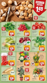 Aktueller REWE Prospekt mit Garten, "Dein Markt", Seite 7