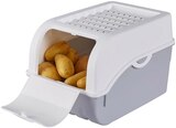Zwiebelbox oder Kartoffelbox Angebote bei REWE Schweinfurt für 3,99 €