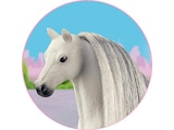42652 HAARE BEAUTY HORSES GREY Spielfigur Mehrfarbig im MediaMarkt Saturn Prospekt 42652 HAARE BEAUTY HORSES GREY Spielfigur Mehrfarbig von SCHLEICH im aktuellen MediaMarkt Saturn Prospekt für 6,16 €