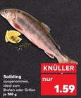 Aktuelle Fisch Angebote bei Kaufland in Heilbronn Aktuelles Saibling Angebot bei Kaufland in Heilbronn ab 1,59 €