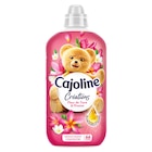 SUR TOUT - CAJOLINE en promo chez Carrefour Livry-Gargan