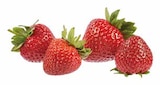 Erdbeeren von LS Regional für 2,99 € bei EDEKA im Angebot Erdbeeren von LS Regional im aktuellen EDEKA Prospekt