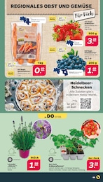 Heidelbeeren Angebot & Preis im aktuellen Netto mit dem Scottie Prospekt Heidelbeeren Angebot im aktuellen Netto mit dem Scottie Prospekt auf Seite 3
