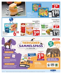 Bratpfanne im EDEKA Prospekt Bratpfanne im EDEKA Prospekt Noch kein °Punktesammler? Hier direkt anmelden! auf S. 12