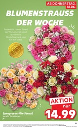 Kaufland Schnittblumen im Prospekt 