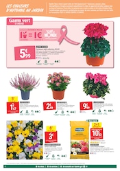 Chrysanthèmes en promo dans le catalogue Gamm vert à la page 4