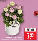 Marktkauf Filderstadt Prospekt mit  im Angebot für 7,99 €