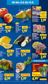 Zitronen im Lidl Prospekt in Frankfurt Aktueller Lidl Prospekt mit Zitronen, "LIDL LOHNT SICH", Seite 3