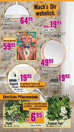Bilder Angebot im aktuellen Hornbach Prospekt auf Seite 31