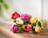Bouquet de 7 tulipes dans le catalogue Carrefour