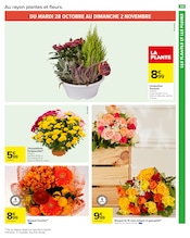 Chrysanthèmes Angebote im Prospekt "PRODUITS LAITIERS & VÉGÉTAUX !" von Carrefour Market Chrysanthèmes Angebote im Prospekt "PRODUITS LAITIERS & VÉGÉTAUX !" von Carrefour Market auf Seite 25