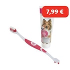 TAKE CARE Kit de soins dentaires dans le catalogue Maxi Zoo