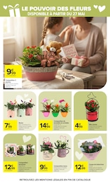 Prix et réduction Pot dans le prospectus Carrefour en cours Offre Pot dans le catalogue Carrefour du moment à la page 5
