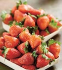 Intermarché Saint-Héand - Promo Fraise Ronde Promo Fraise Ronde à 3,98 € dans le catalogue Intermarché à Saint-Héand