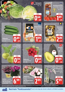 Aktueller EDEKA Prospekt