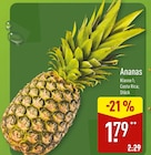 Ananas im Angebot bei ALDI Nord in Paderborn Ananas Angebote bei ALDI Nord Paderborn für 1,79 €