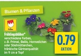Frühlingsblüher Angebote bei diska Chemnitz für 0,79 €