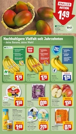 Ähnliche Angebote wie Rhabarber im Prospekt "Dein Markt" auf Seite 10 von REWE in München