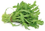 Aktuelles BIO RUCOLA Angebot bei REWE in Köln