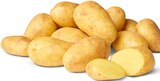 Aktuelle Kartoffeln Angebote bei Penny in Chemnitz Aktuelles Deutsche Speisefrühkartoffeln Angebot bei Penny in Chemnitz ab 2,69 €