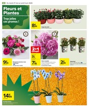Orchidée Angebote im Prospekt "LE MOIS À VOS MARQUES, PRÊTS, PRÊTS, PARTEZ !" von Carrefour Orchidée Angebote im Prospekt "LE MOIS À VOS MARQUES, PRÊTS, PRÊTS, PARTEZ !" von Carrefour auf Seite 90