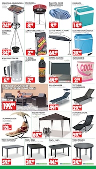 Grillkohle im Wreesmann Prospekt "DEIN SAISON- & SONDERPOSTENMARKT!" mit 12 Seiten (Dresden)