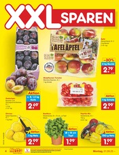 Pflanzen im Netto Marken-Discount Prospekt in Peine Aktueller Netto Marken-Discount Prospekt mit Pflanzen, "Aktuelle Angebote", Seite 4