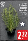 Aktuelle Rosmarin Angebote bei EDEKA in Mönchengladbach Aktuelles Freilandkräuter Rosmarin Angebot bei EDEKA in Mönchengladbach ab 2,22 €