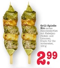Aktuelle Fisch Angebote bei E center in Mainz Aktuelles Grill-Spieße Rio Angebot bei E center in Mainz ab 2,99 €