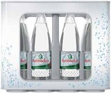 Trinkgut - Rosbacher Angebot im Prospekt Rosbacher bei Trinkgut im Prospekt "" für 4,99 €