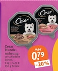 Hundenahrung im Angebot bei tegut in Dreieich Hundenahrung Angebote von Cesar bei tegut Dreieich für 0,79 €