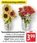Angebot im E center Neuried Prospekt E center Neuried Prospekt mit im Angebot für 3,99 €