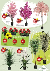 Jardinière Angebote im Prospekt "Envie DE JARDIN" von Maxi Bazar auf Seite 17