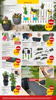 Blumentopf im Penny Prospekt "Wer günstig will, muss Penny." mit 42 Seiten (Bielefeld)