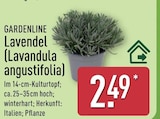 Angebot im ALDI Nord Weißenborn Prospekt ALDI Nord Weißenborn Prospekt mit im Angebot für 2,49 €