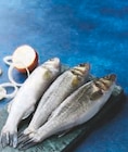 Super U Cambounet-sur-le-Sor - Promo Bar d'aquaculture Promo Bar d'aquaculture à 9,00 € dans le catalogue Super U à Cambounet-sur-le-Sor