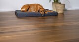 Orthopädisches Hundekissen „Zira“ im Angebot bei Hornbach in Herford Orthopädisches Hundekissen „Zira“ Angebote von beeztees bei Hornbach Herford für 69,99 €