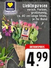 Lieblingsrosen im aktuellen Prospekt bei EDEKA in Nachrodt-Wiblingwerde