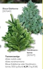 Tannenzweige im Angebot bei BayWa Bau- und Gartenmärkte in Nürnberg Tannenzweige Angebote bei BayWa Bau- und Gartenmärkte Nürnberg für 4,29 €
