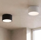 LED-Deckenleuchte „Raymond“ von GLOBO für 11,99 € bei XXXLutz im Angebot LED-Deckenleuchte „Raymond“ von GLOBO im aktuellen XXXLutz Prospekt