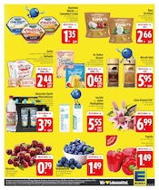 Farbe im EDEKA Prospekt in München Aktueller EDEKA Prospekt mit Farbe, "5% MONTAGS-RABATT", Seite 27