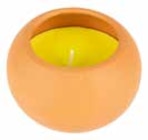 Kerze »Siena« von Citronella im aktuellen Pflanzen Kölle Prospekt für 6,99 €