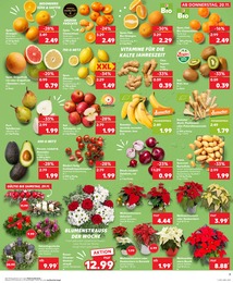 Deko Weihnachtsstern Angebot im aktuellen Kaufland Prospekt auf Seite 7