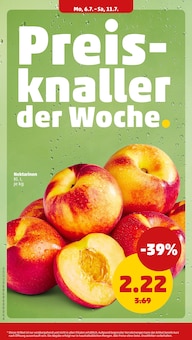 Nektarinen im Penny Prospekt "Wer günstig will, muss Penny." mit 44 Seiten (Berlin)